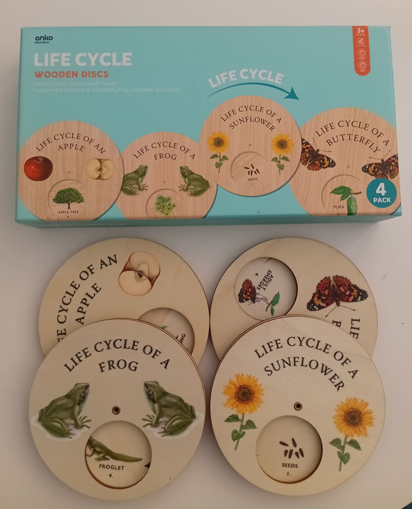 Life Cycle Wooden Discs